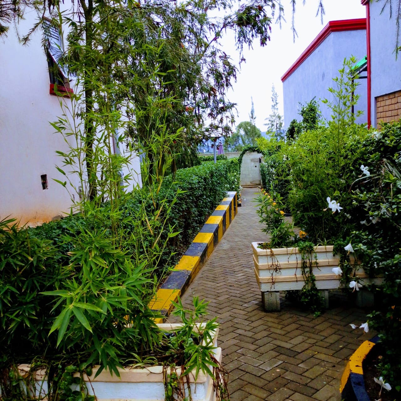 Akengyeya Country Hotel compound garden and green landscaping